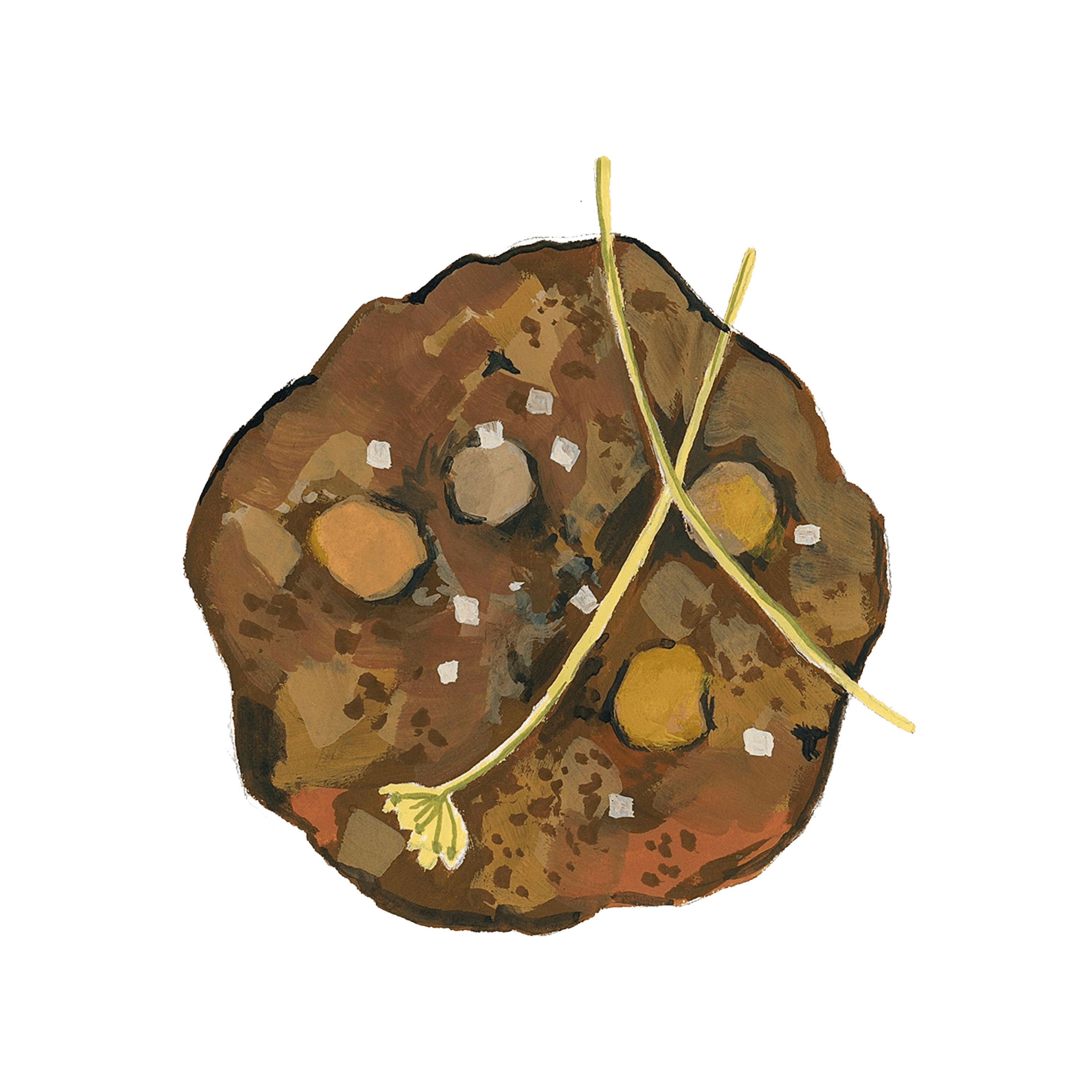 Illustrated chocolate cookie