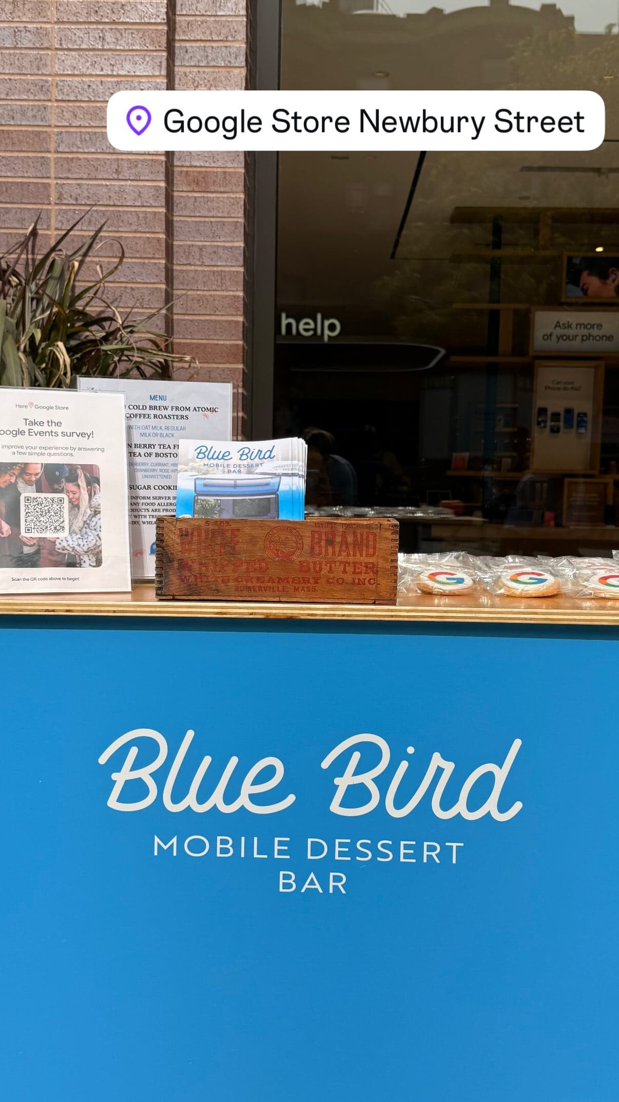 Blue Bird corporate event